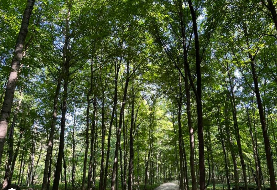 Maple Grove room at Blue Ridge Abbey Carriage House